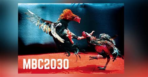 MBC2030 Live Registration for Philippines Dashboard: How to .